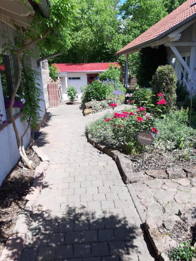Ferienwohnung Im Schoenen Zellertal Wachenheim an der Weinstraße Exterior foto